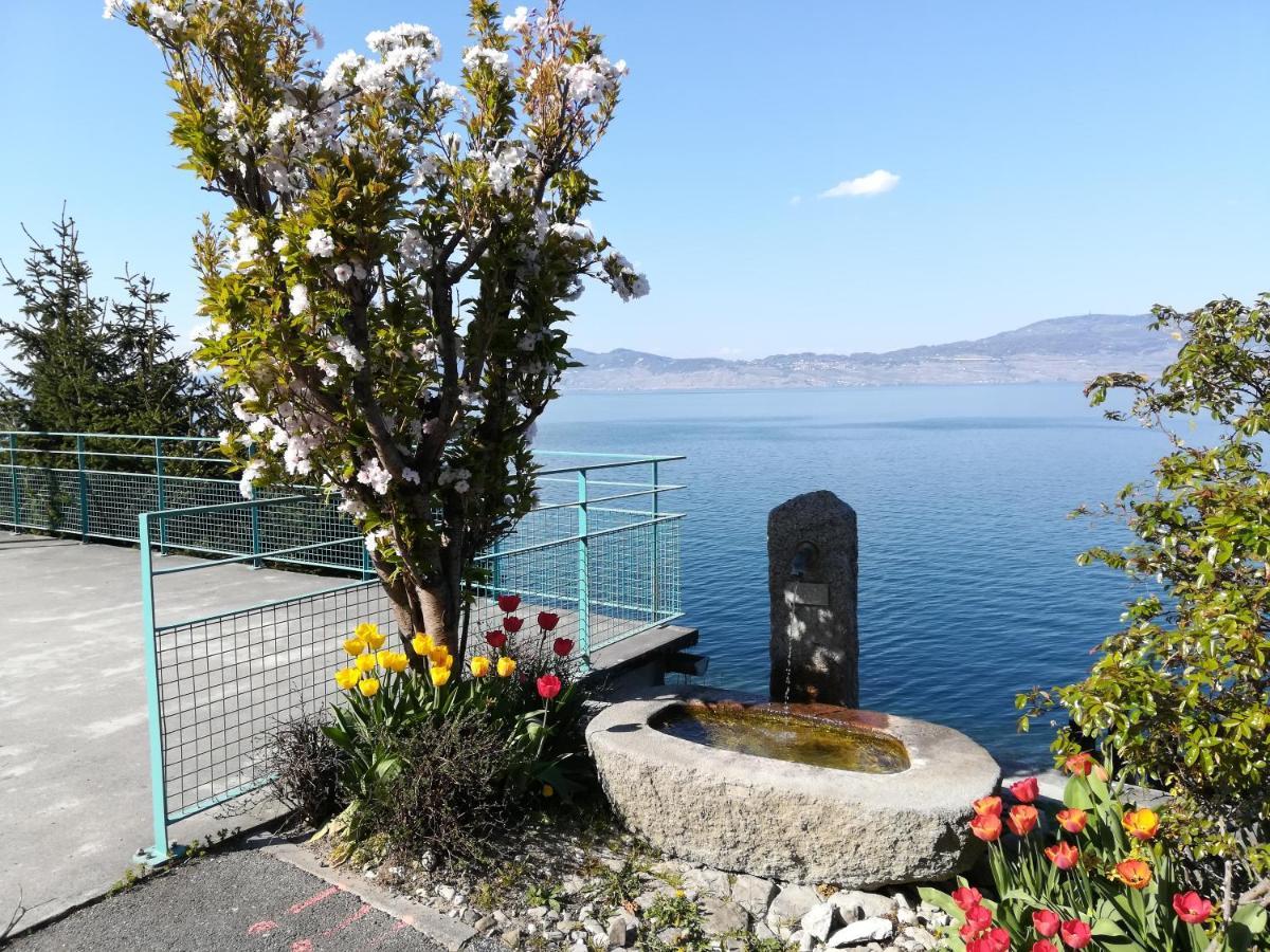 Hotel Le Leman Saint-Gingolph Exterior photo